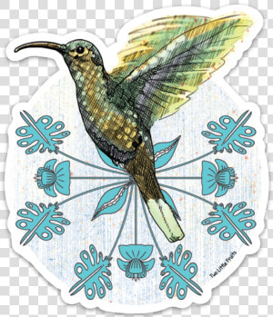 Humming Bird Png  Transparent Png