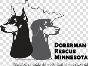 Dobermann  HD Png Download