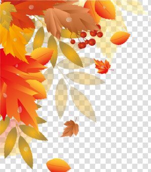 Decorative Clipart Fall Leaves   Fall Leaves Corner Clip Art  HD Png Download