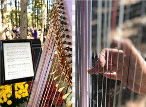 Harpist For Weddings  Events  Or Any Occasion   Art  HD Png Download