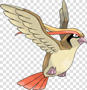 Pokemon Pidgeot  HD Png Download