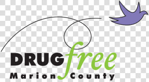 Transparent Drug Needle Png   Drug Free Marion County Logo  Png Download