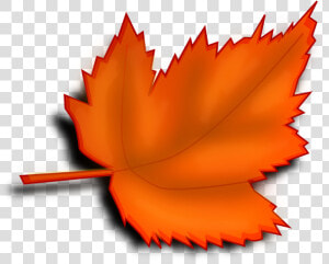 Maple  Autumn  Fall  Leaf  Orange  Shades   Maple Leaf  HD Png Download