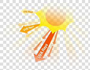 Ultraviolet Light Rays healthy Lifestyles   Uv Rays Png  Transparent Png