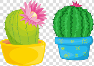 Transparent Cactus Vector Png   Cactus Flower Clipart  Png Download