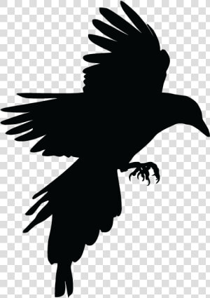 Bird Crow Eurasian Magpie Tattoo   Magpie Flying Png  Transparent Png