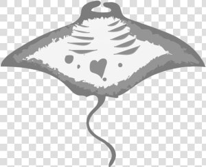 Transparent Manta Ray Png   Eagleray  Png Download