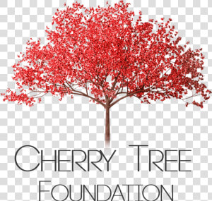 Cherry Tree Png   Cherry Blossom Tree Png  Transparent Png