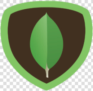 Mongodb Icon  HD Png Download