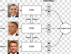 Triplet Loss Img   Siamese Network Triplet Loss  HD Png Download