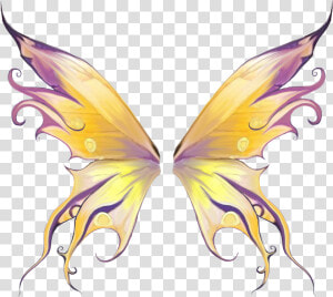 Fairy Wings Png Source   Alas De Mariposa Png  Transparent Png