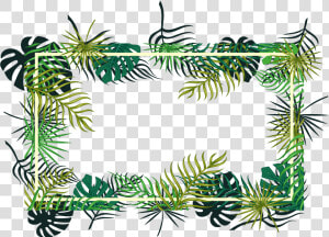 Tropical Vector Ornament   Transparent Background Tropical Png  Png Download