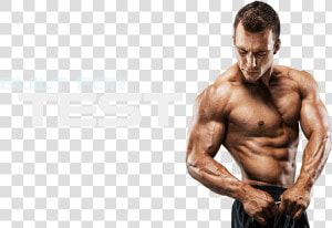 Muscle Png Image File   Ayurveda Body Mass  Transparent Png