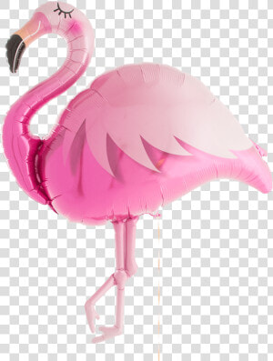 Hot Pink Flamingo Supershape  HD Png Download