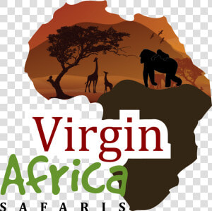 Virgin Africa Safaris   Tree  HD Png Download