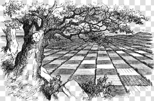 Alice In Wonderland Wiki   Chess Board Alice In Wonderland  HD Png Download