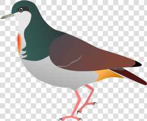 Sulu Bleeding Heart Pigeon   Png Download   Mindoro Bleeding Heart Sketch  Transparent Png