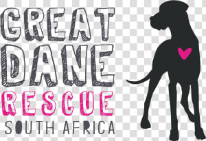 Book Tickets For Great Dane Rescue South Africa Picnic  HD Png Download