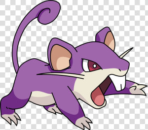 Pokemon Rattata  HD Png Download