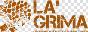 Lagrima   Parkpop  HD Png Download