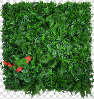 Artificial Green Wall Hedge Panel Mixed Jungle  HD Png Download