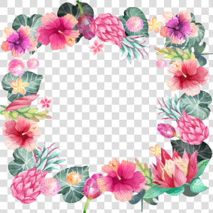 Pink Hibiscus Border Png   Fondo De Flores Png  Transparent Png