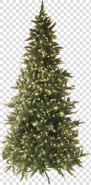 Christmas Tree W Led Vancouver   Pre Lit Christmas Tree  HD Png Download