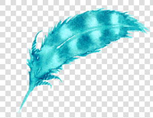 Feather Png Picsart Feather Sticker   Illustration  Transparent Png