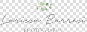 Larissa Barresi Photography   Calligraphy  HD Png Download