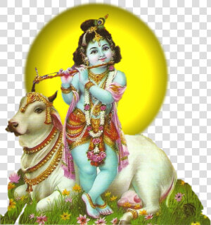 Krishna Janmashtami   Krishna With Cow Png  Transparent Png