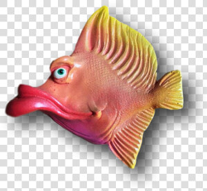 Lips The Fish Png   Coral Reef Fish  Transparent Png