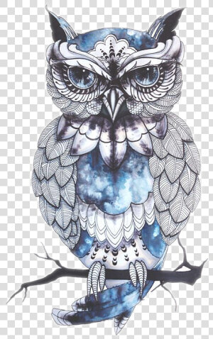 Owl Drawing Artist Bird Tattoo Png Free Photo Clipart   Owl Png  Transparent Png