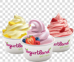 Yogurt Dish Png Download Copy   Yogurtland Fundraiser  Transparent Png