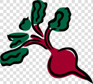 Clip Arts Related To   Beet Clipart Png  Transparent Png