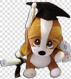 Graduation Plush Sad Sam With Personable Diploma Basset   Sad Sam  HD Png Download