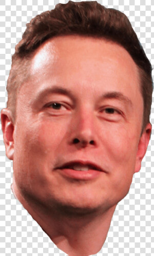 Elon Musk Transparent   Elon Musk  HD Png Download