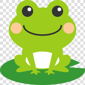 Transparent Frogs Clipart   Clipart Frog  HD Png Download