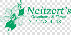 Neitzert S Greenhouse   Cypripedium  HD Png Download