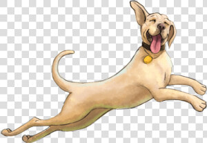 Dog Yawns  HD Png Download