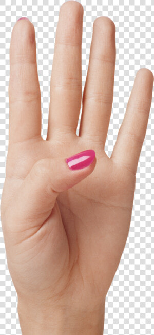 Hand Showing Four Fingers Png Clipart Image   4 Finger Png  Transparent Png