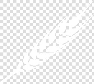 Ramo De Trigo Png Branco  Transparent Png