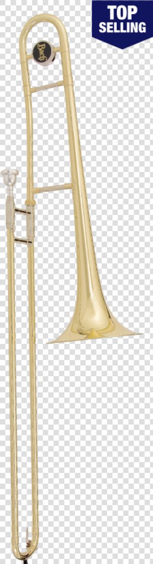 Transparent Trombone Png   Trombones King  Png Download