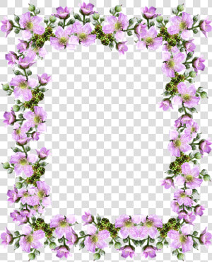 Frame  Border  Pink  Blackberry  Blossom   Bebe Felicitări  HD Png Download