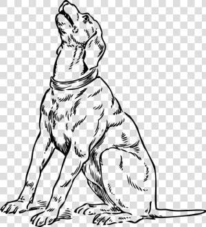 Dog Sitting Drawing At Getdrawings   Barking Of Dog Drawing  HD Png Download