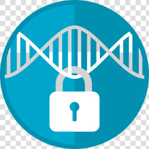 Privacy Of Genomic Data Sharing  HD Png Download