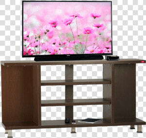 Standard Tv Stand Title Standard Tv Stand   壁纸  HD Png Download