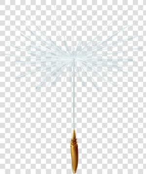  natalya040  dandelion  seed  freetoedit   White Pine  HD Png Download