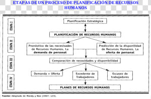 Planificacion Estrategica De Recursos Humanos  HD Png Download