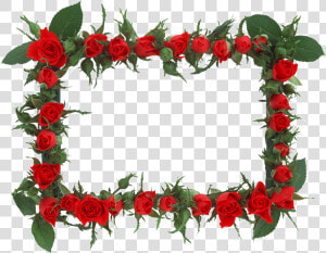 Marcos Para Fotos Con Flores Androidpit   Shaban Png  Transparent Png