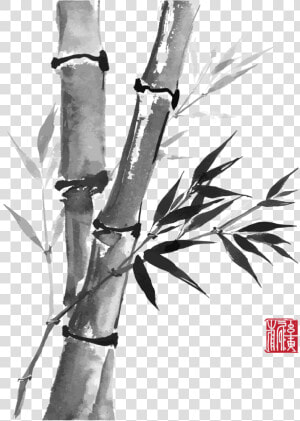 Drawn Bamboo Kawayan   Chinese Bamboo Drawing  HD Png Download